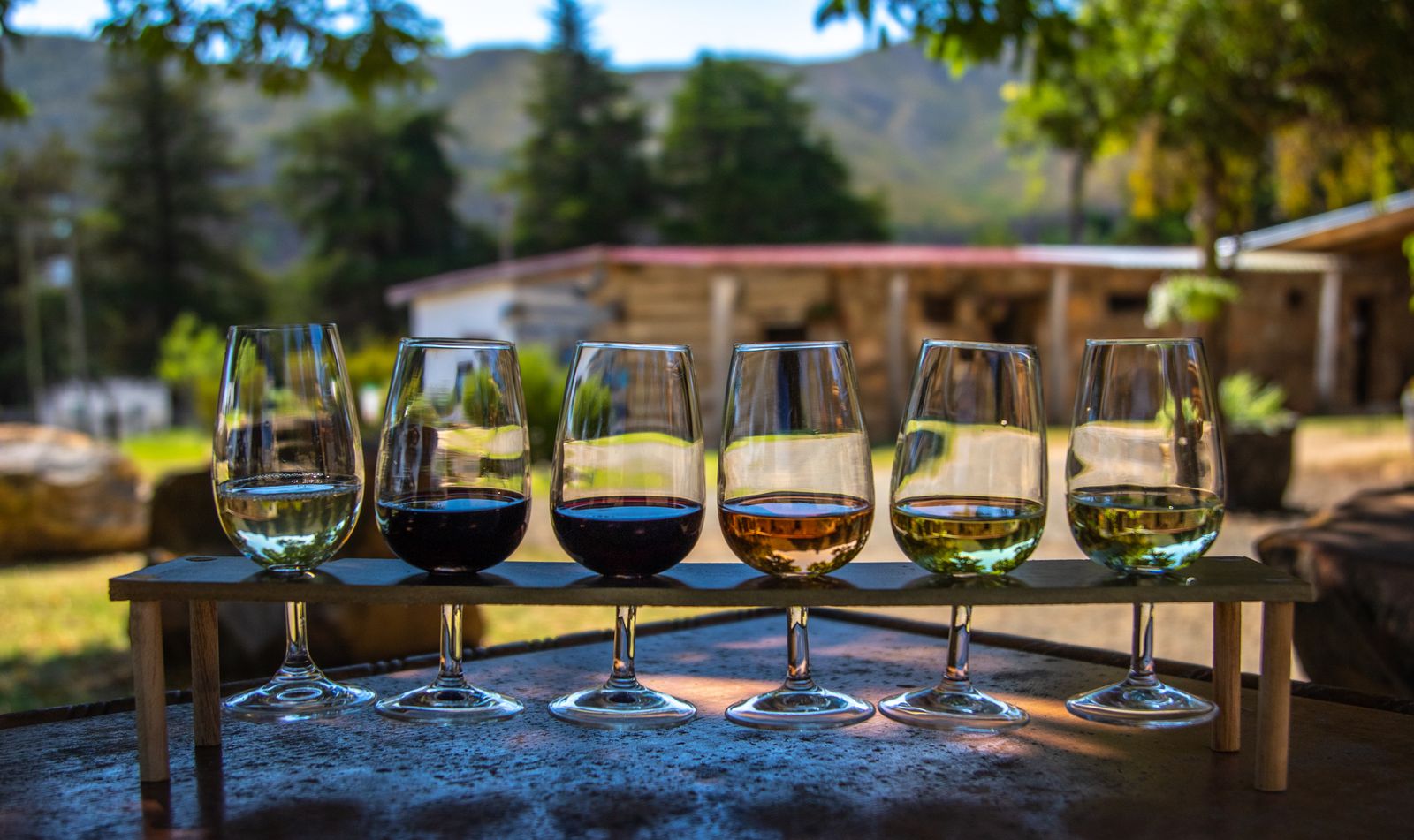 A row of wine glasses poured for a tasting on a bench outdoors. Photo by Magda Ehlers on Pexels.