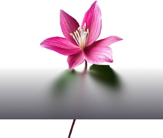 flower-image