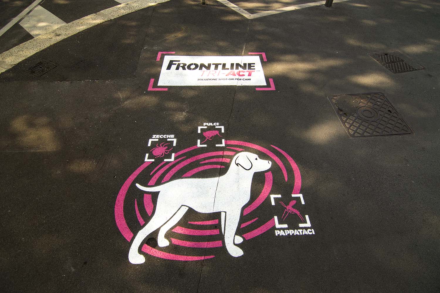 graffiti pubblicitari frontline