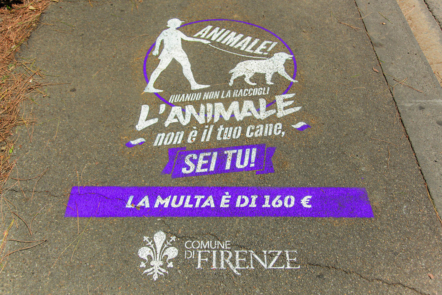 outdoor advertising comune di firenze