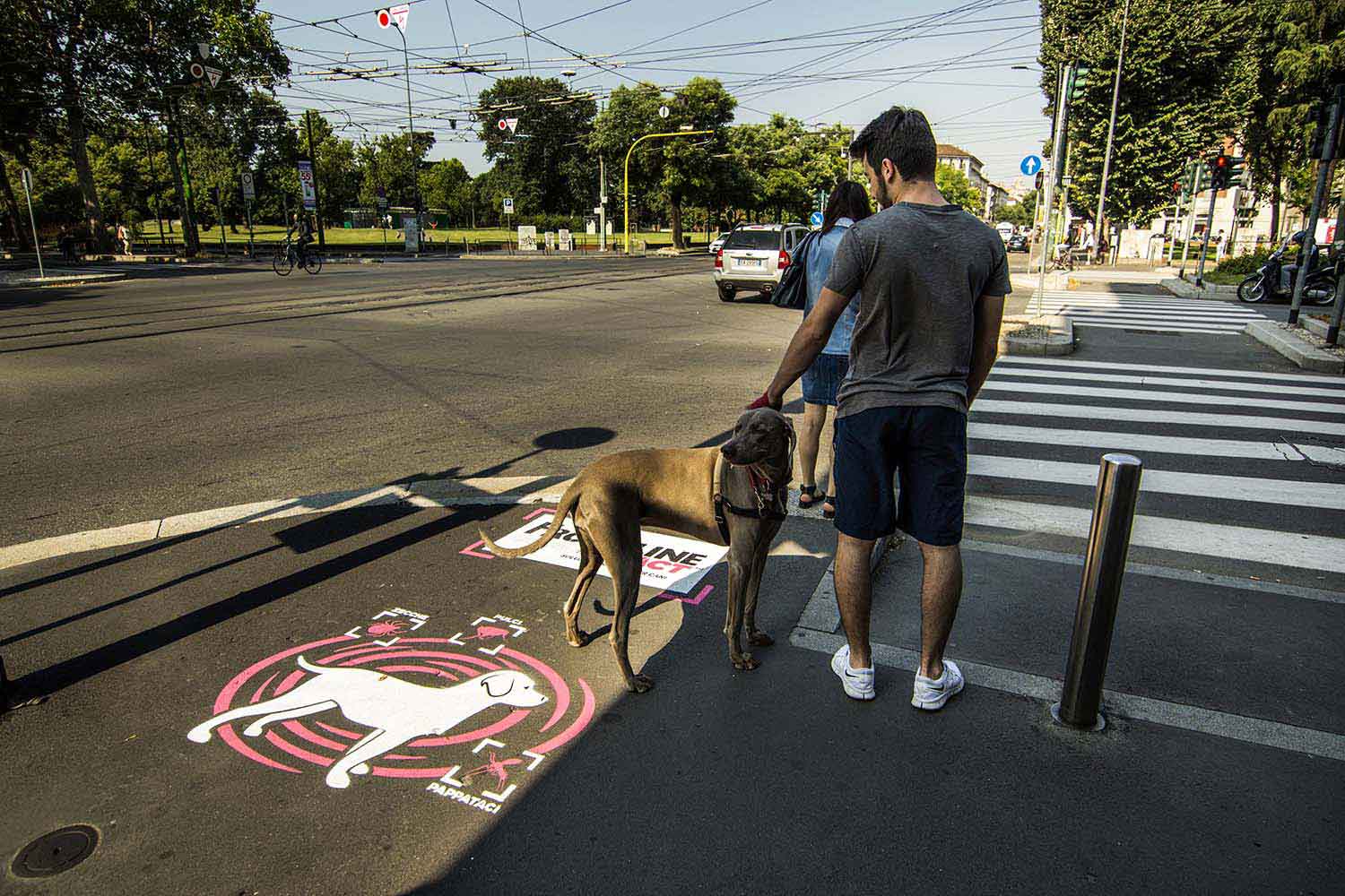street marketing frontline