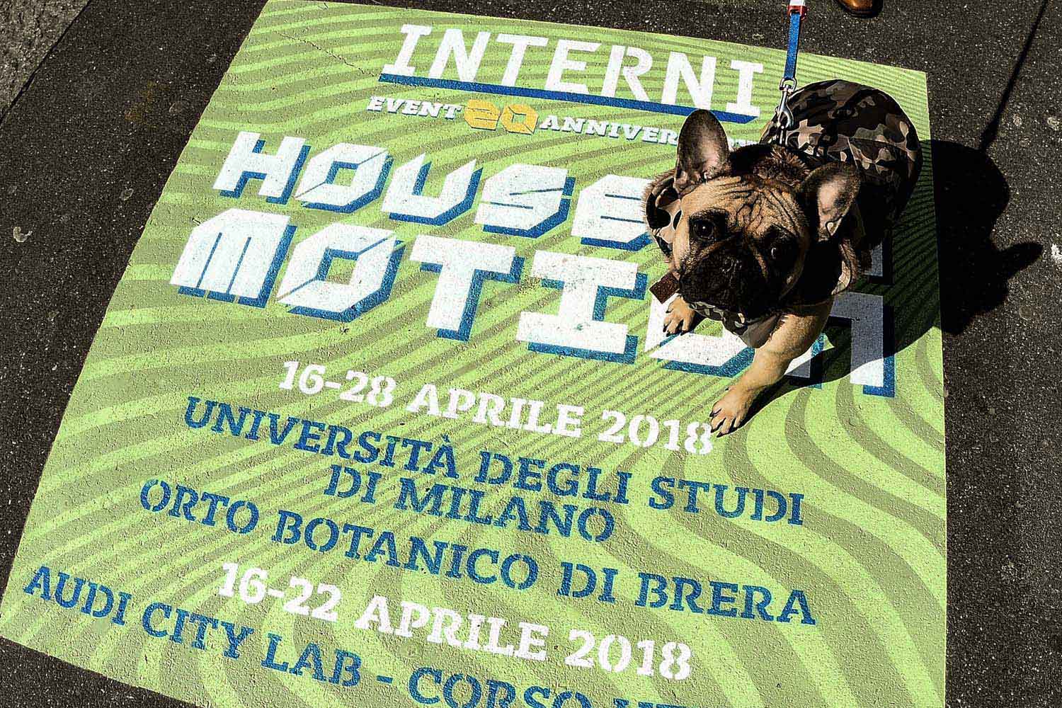 street advertisement interni