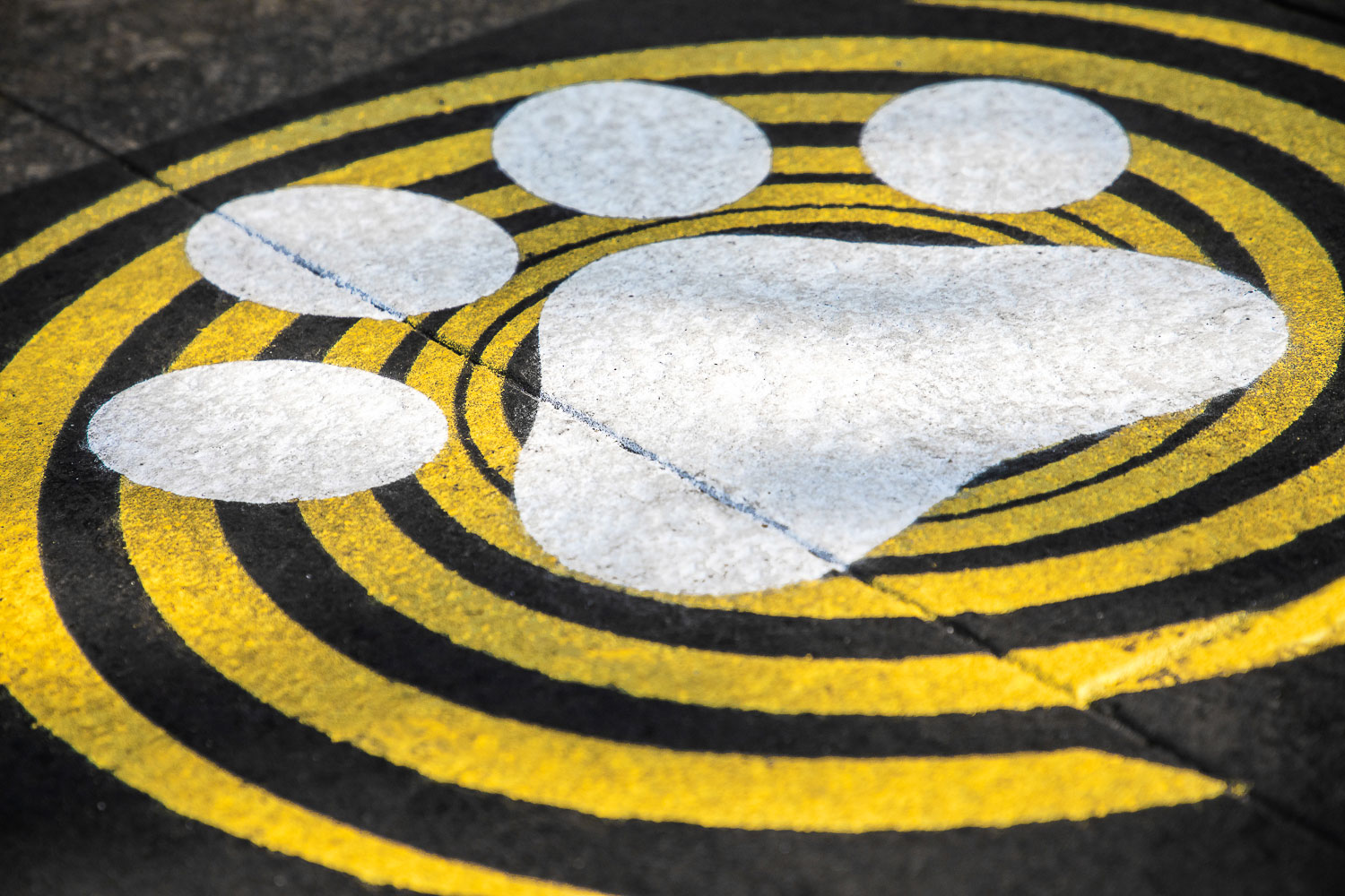 ambient marketing eni gas luce