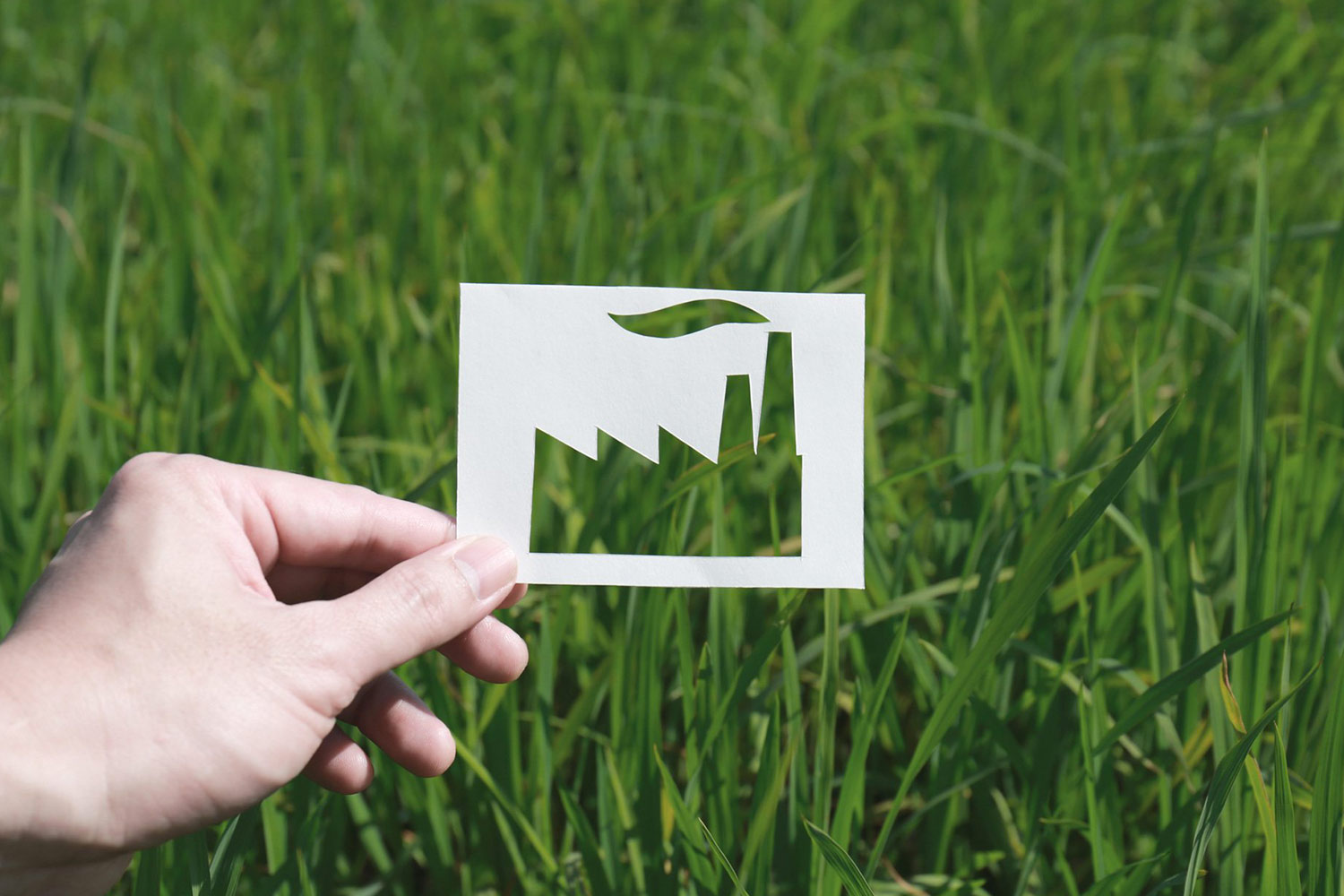 Marketing goes green