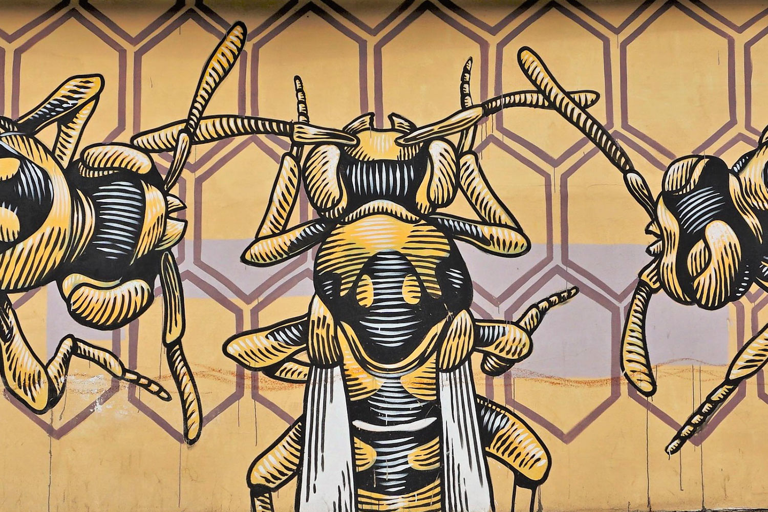Italian Graffiti - Quadraro
