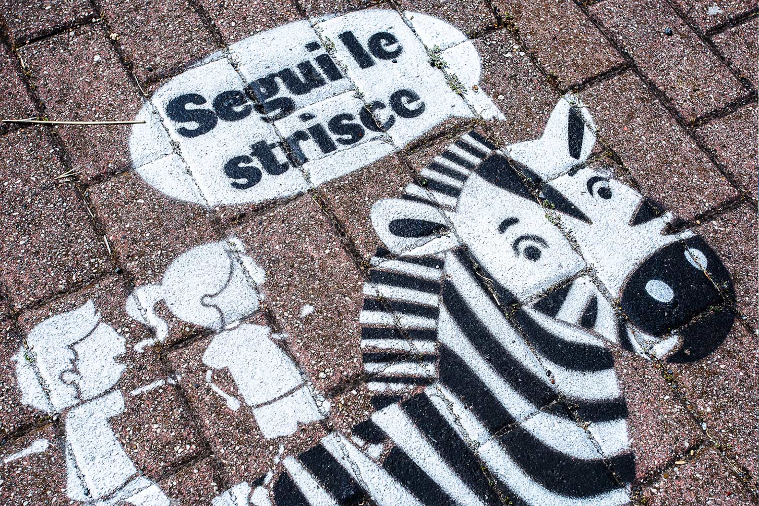 roma Municipio IX Graffiti