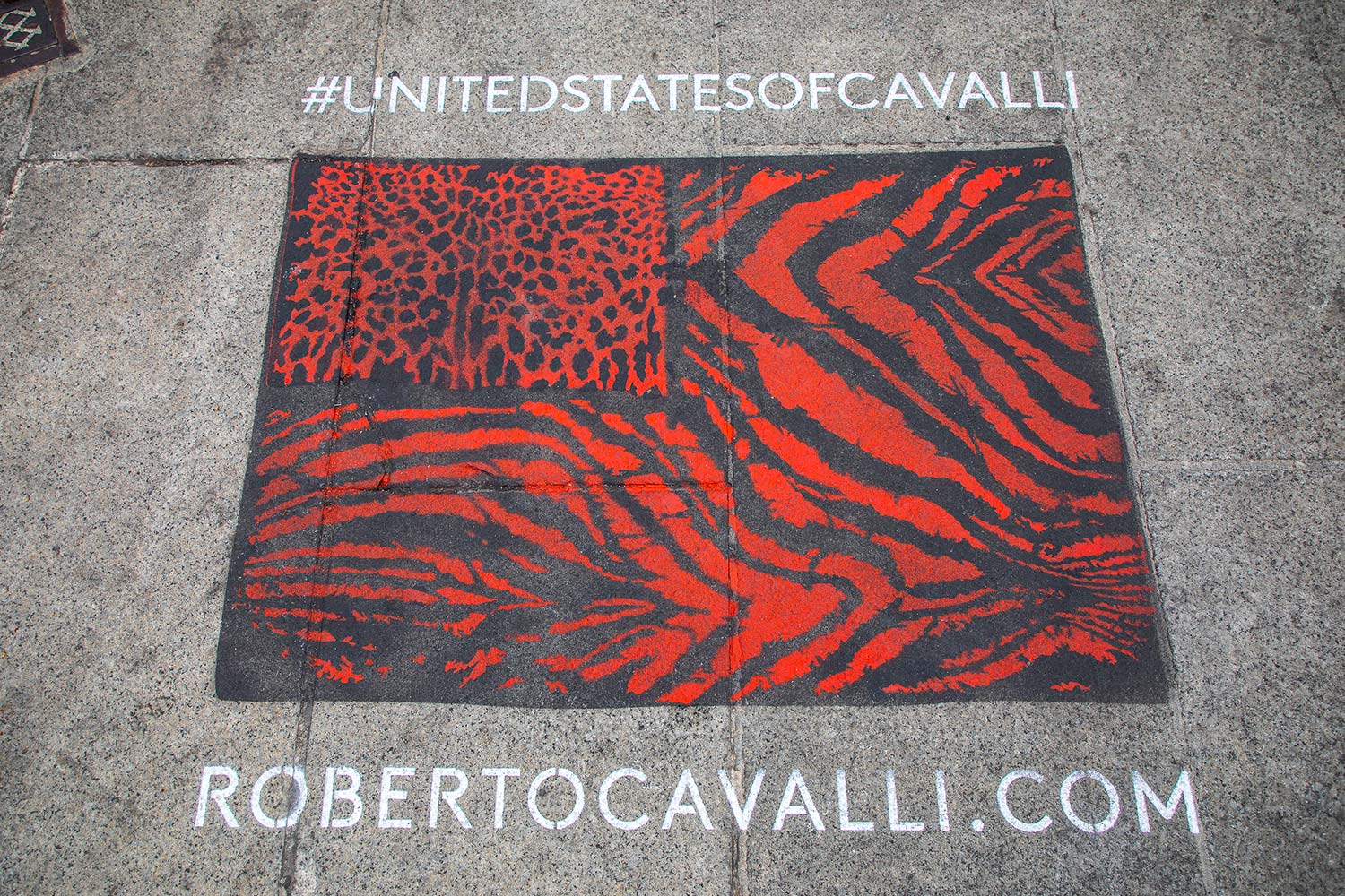 campagna pubblicitaria Roberto Cavalli