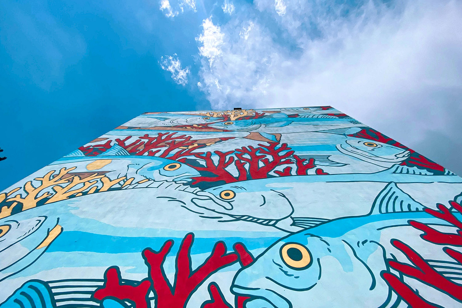 Lucamaleonte Murales Tor Bella Monaca