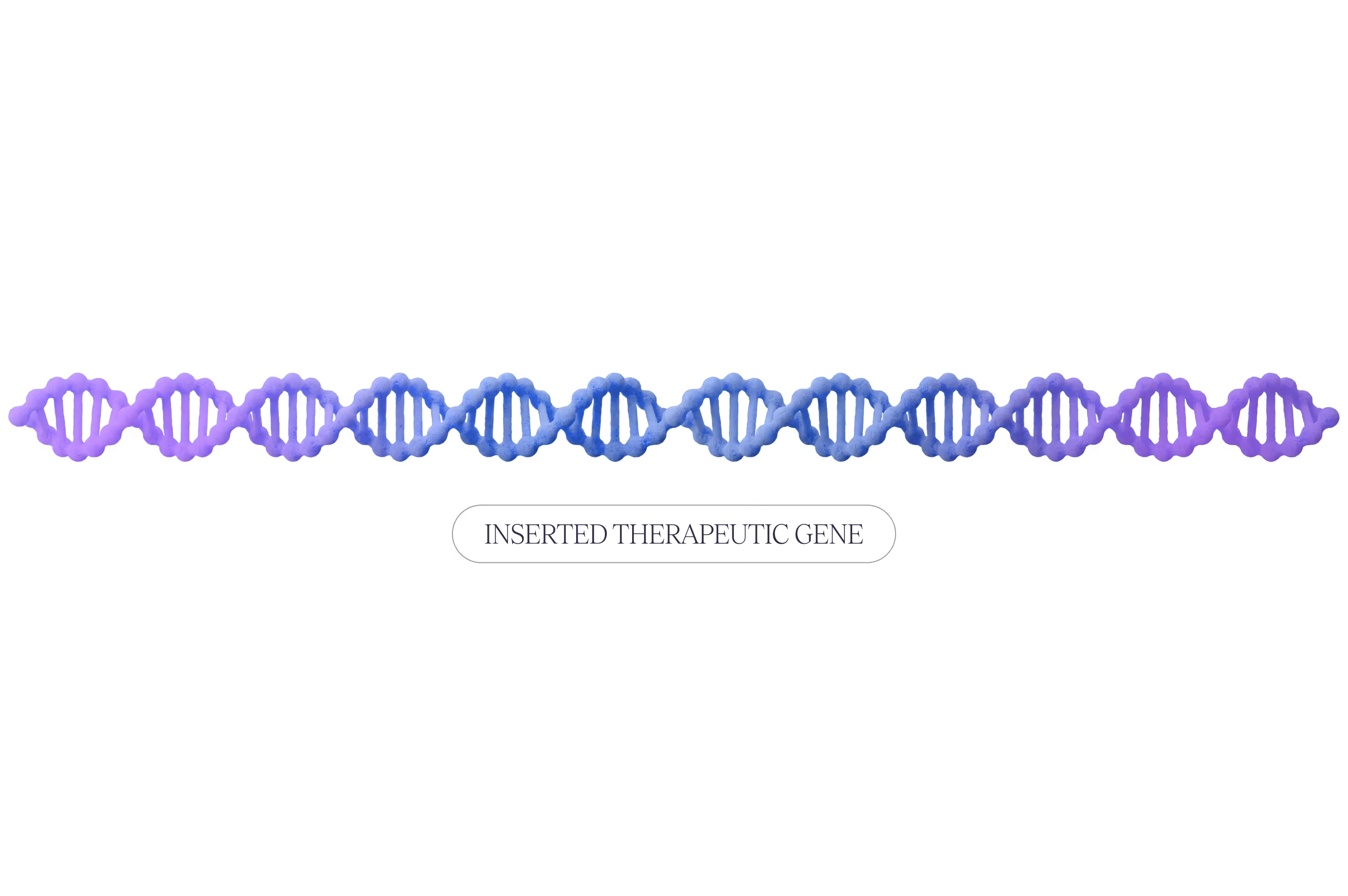 INSERTED therapeutic gene