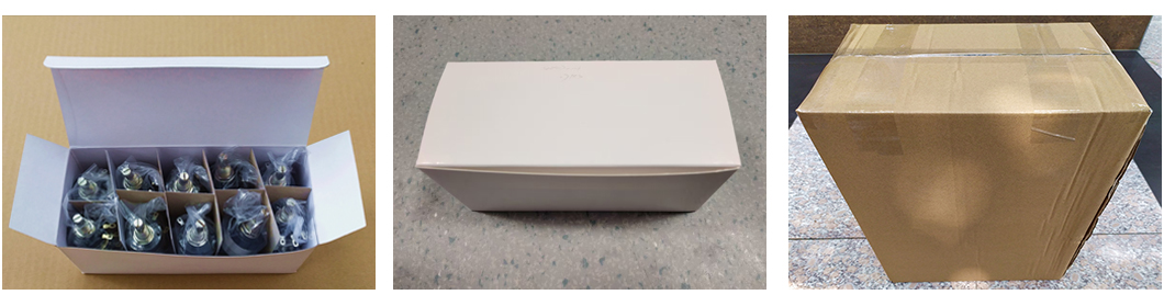RV24 Packaging