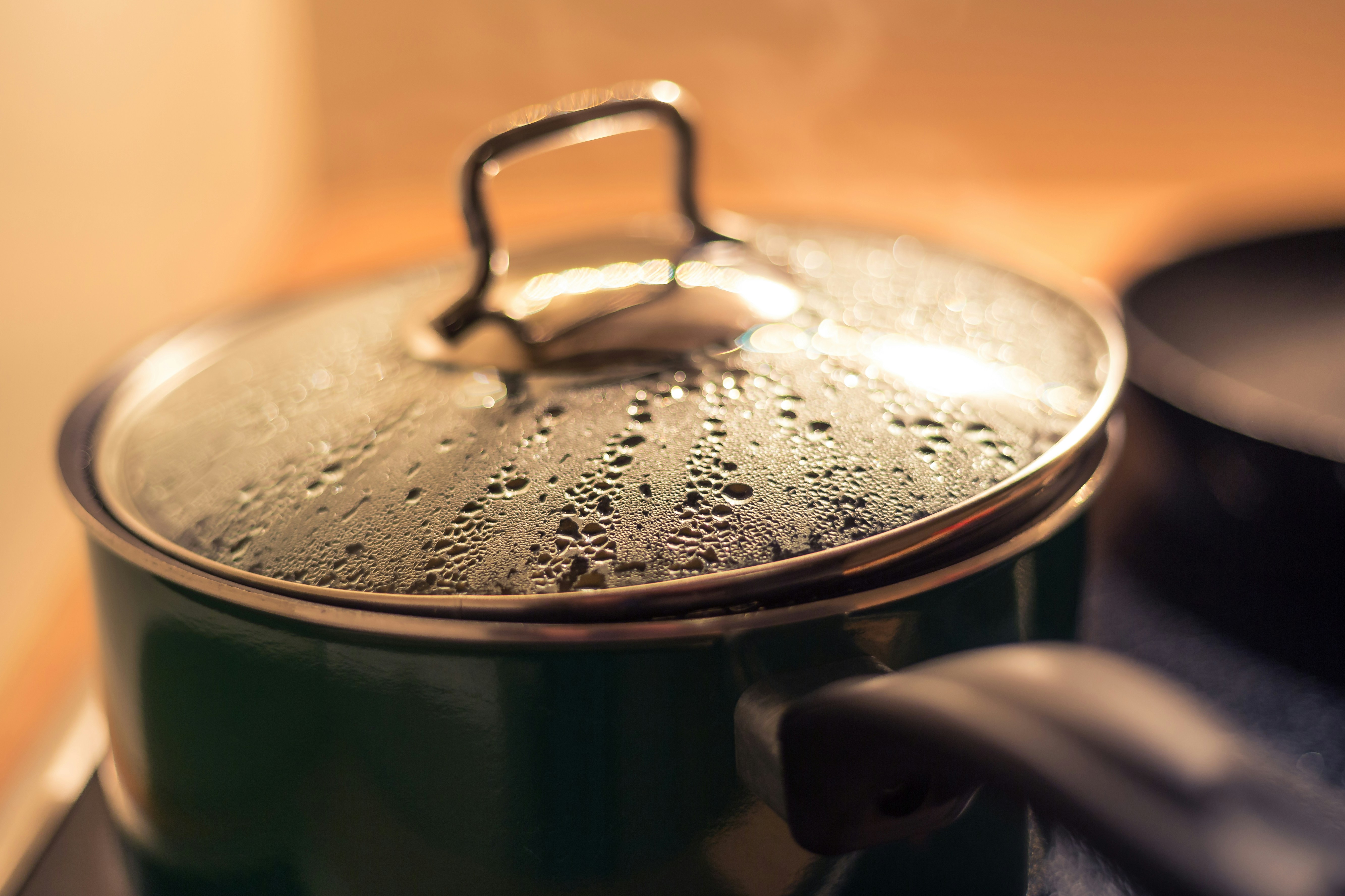HACCP et Gestion des températures en cuisine
