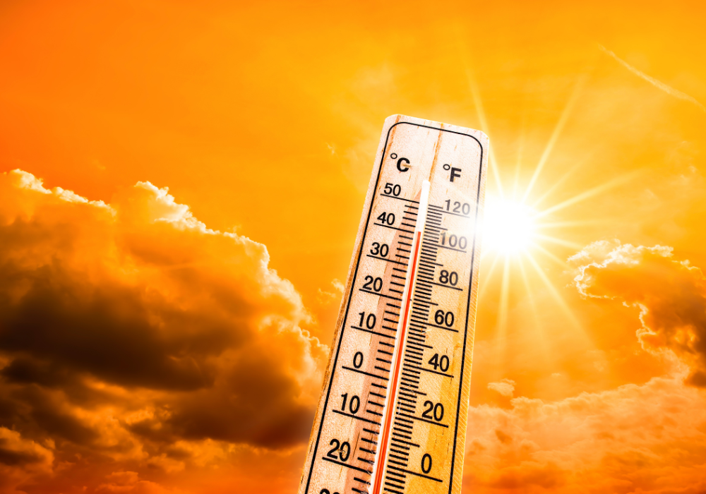 Komia au service de votre restaurant pendant la canicule