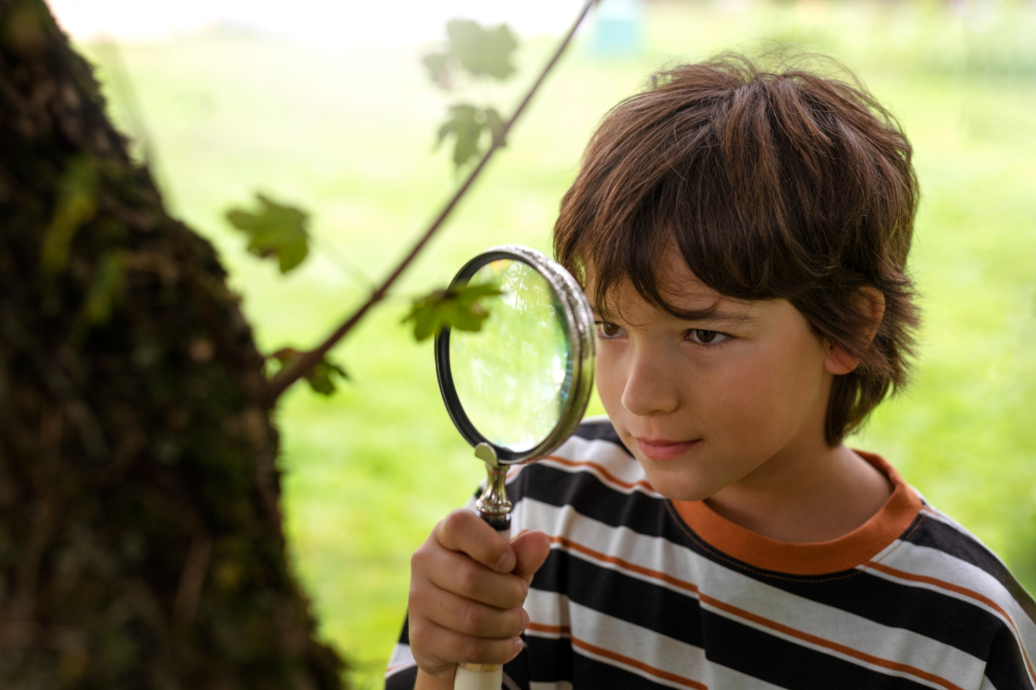 Curiosity isn’t managed. It’s followed.