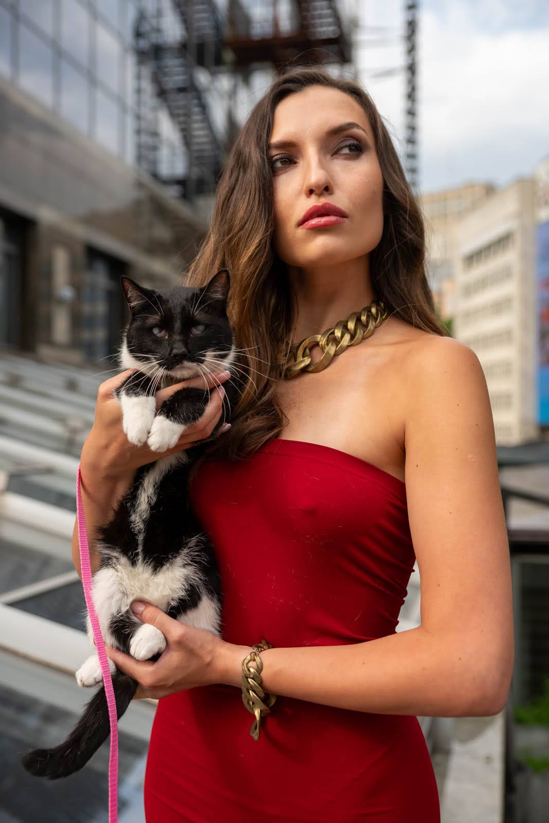 Volunteer holding a rescued cat
