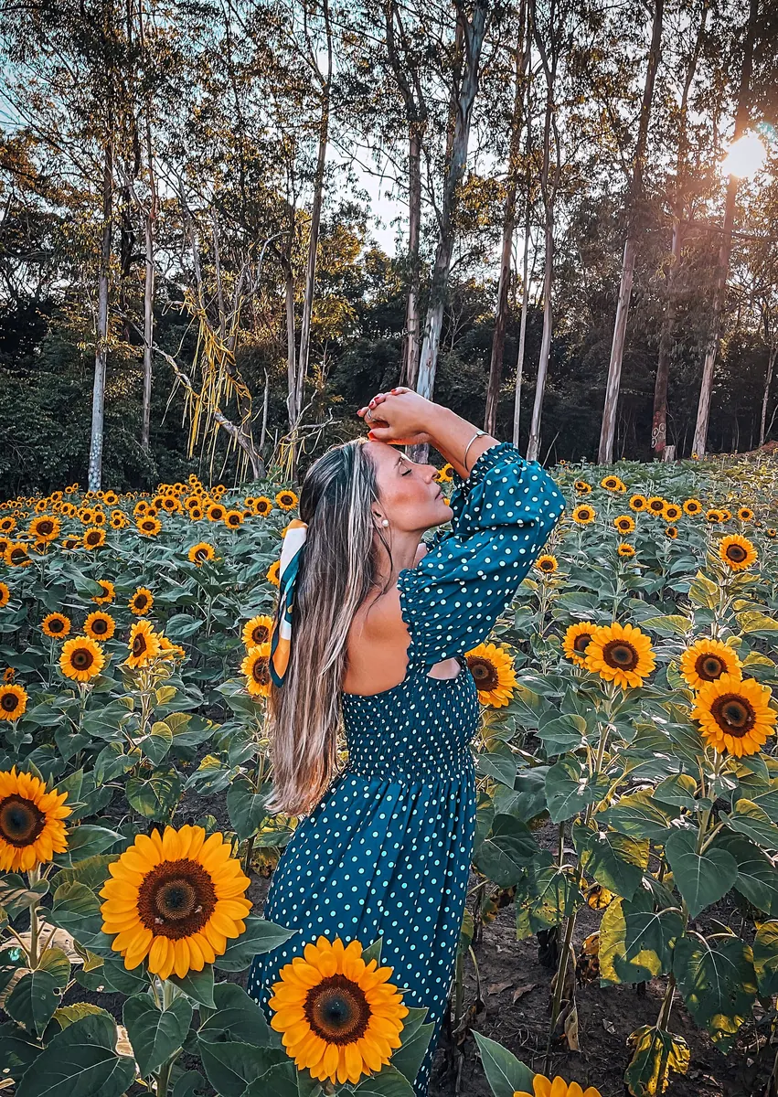 A person in a sunflower field