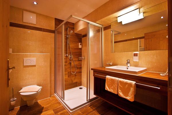Large Deluxe Austrian Twin/Double Room