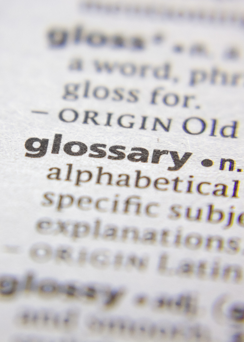 Picture of glossary definition 