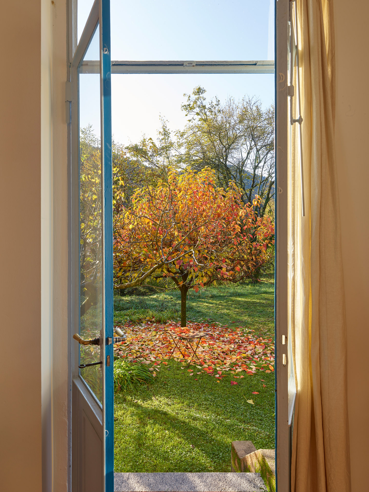 Blick in den herbstlichen Garten