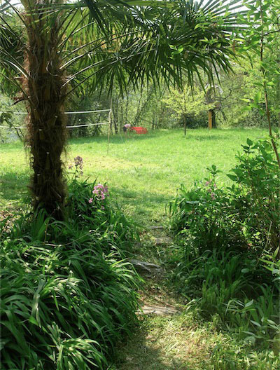 Im Garten 2010