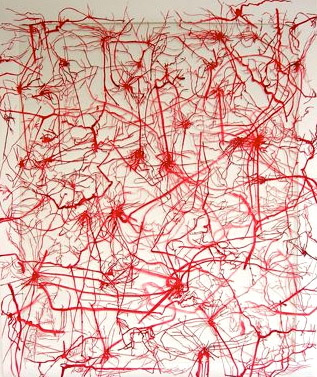 Foto: Brigit Stadler. ("Radici 08")