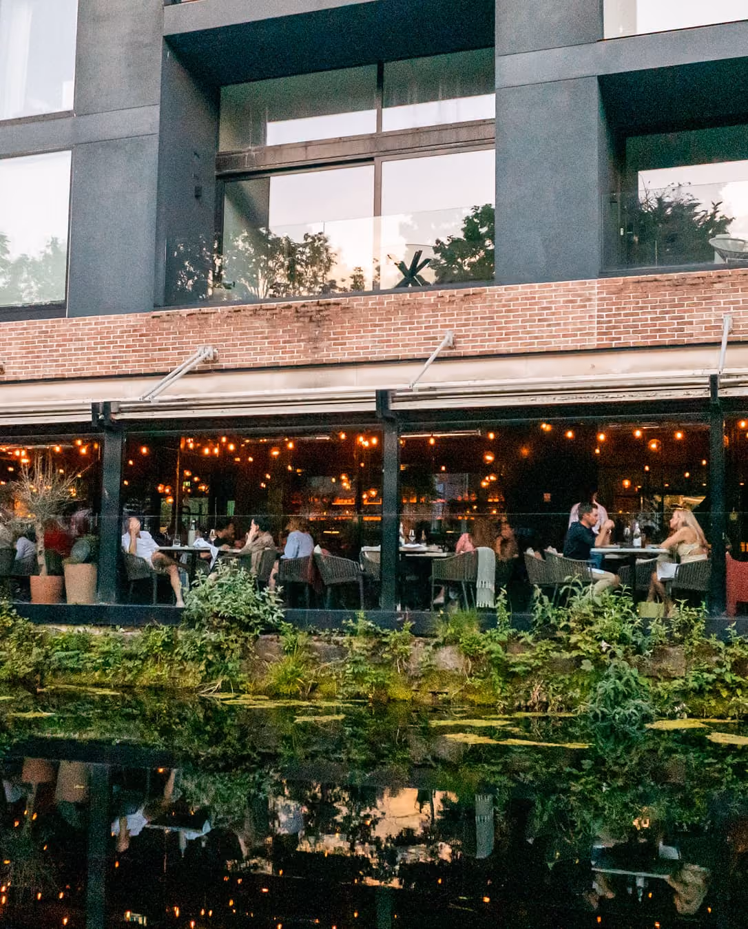 People dining on a lit outdoor patio of a restaurant beside a pond with green plants.