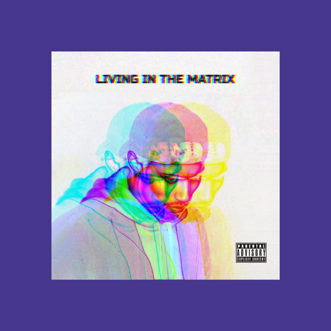Living in the Matrix