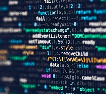 Frequensee