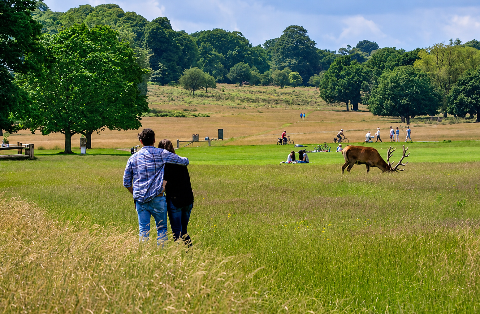 Richmond Park et ses grands espaces verts