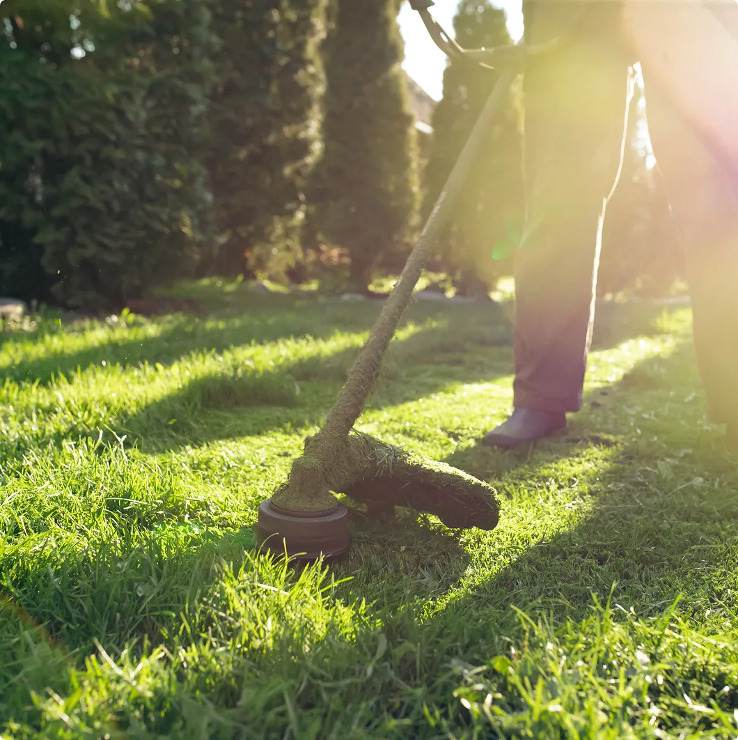 Person using a strimmer on grass