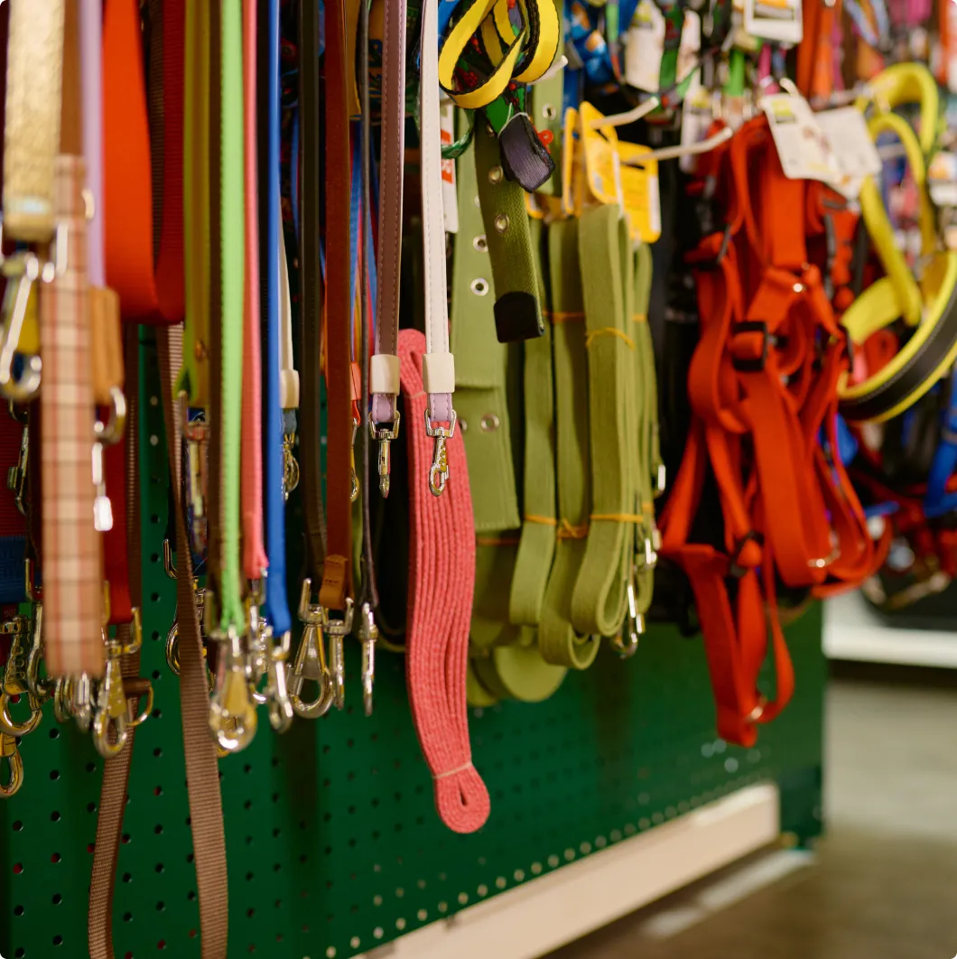 Straps and harnesses hanging in a store