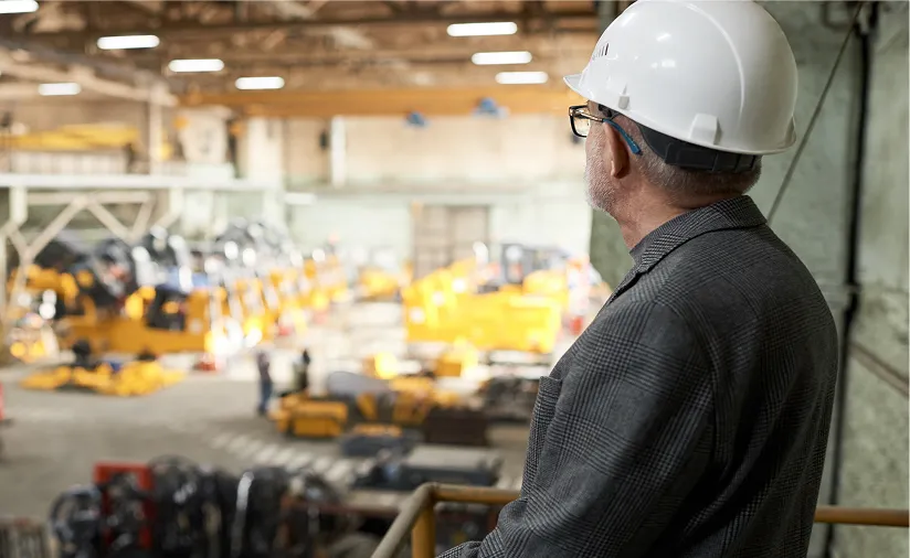 Worker overlooking a plant floor
