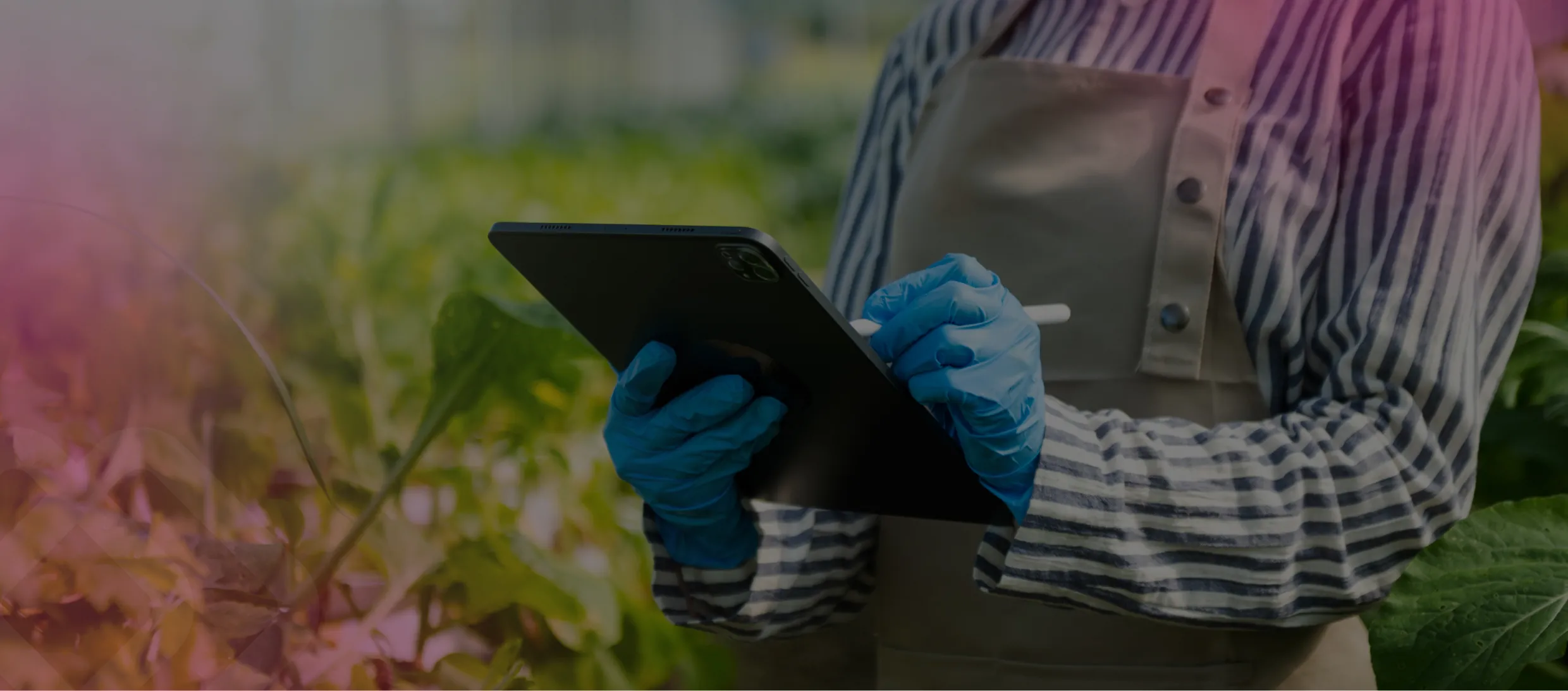 Gloved hand using a tablet outdoors