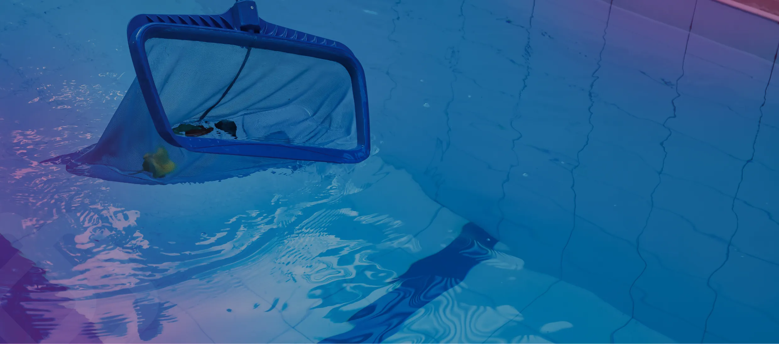 Net skimming a swimming pool