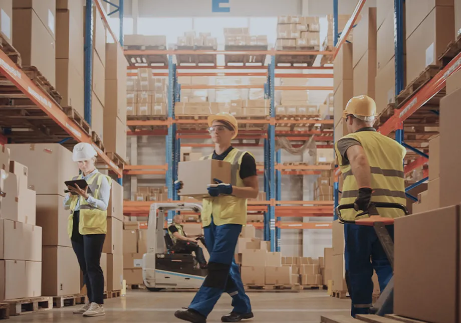 Warehouse workers among shelves with a forklift
