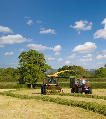 Tractor working in a field