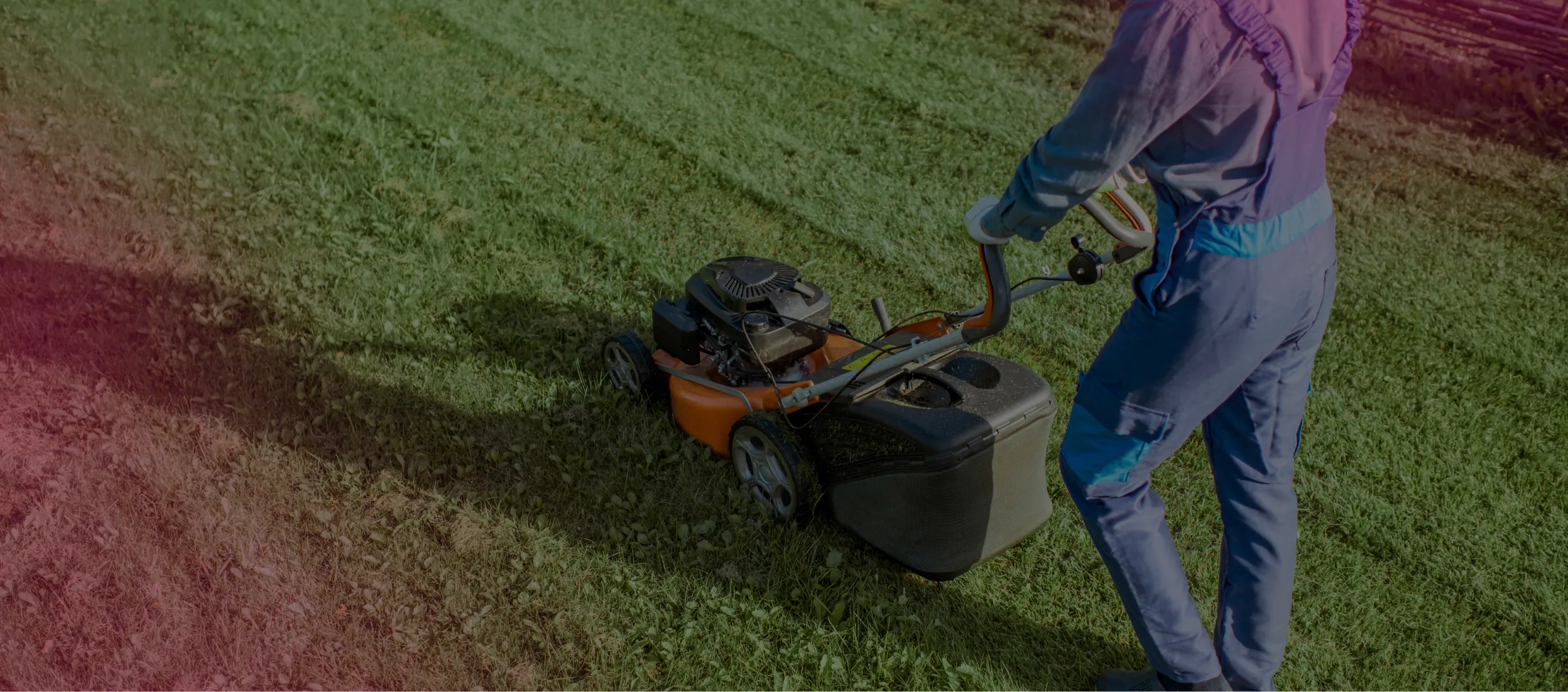 Person mowing a lawn