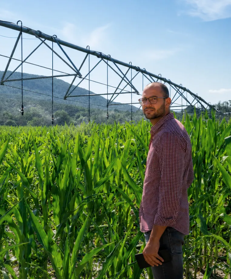 Man standing in a cornfield