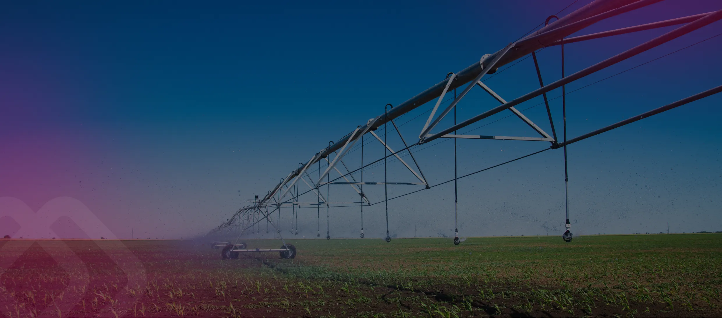 Irrigation equipment in a field at dusk