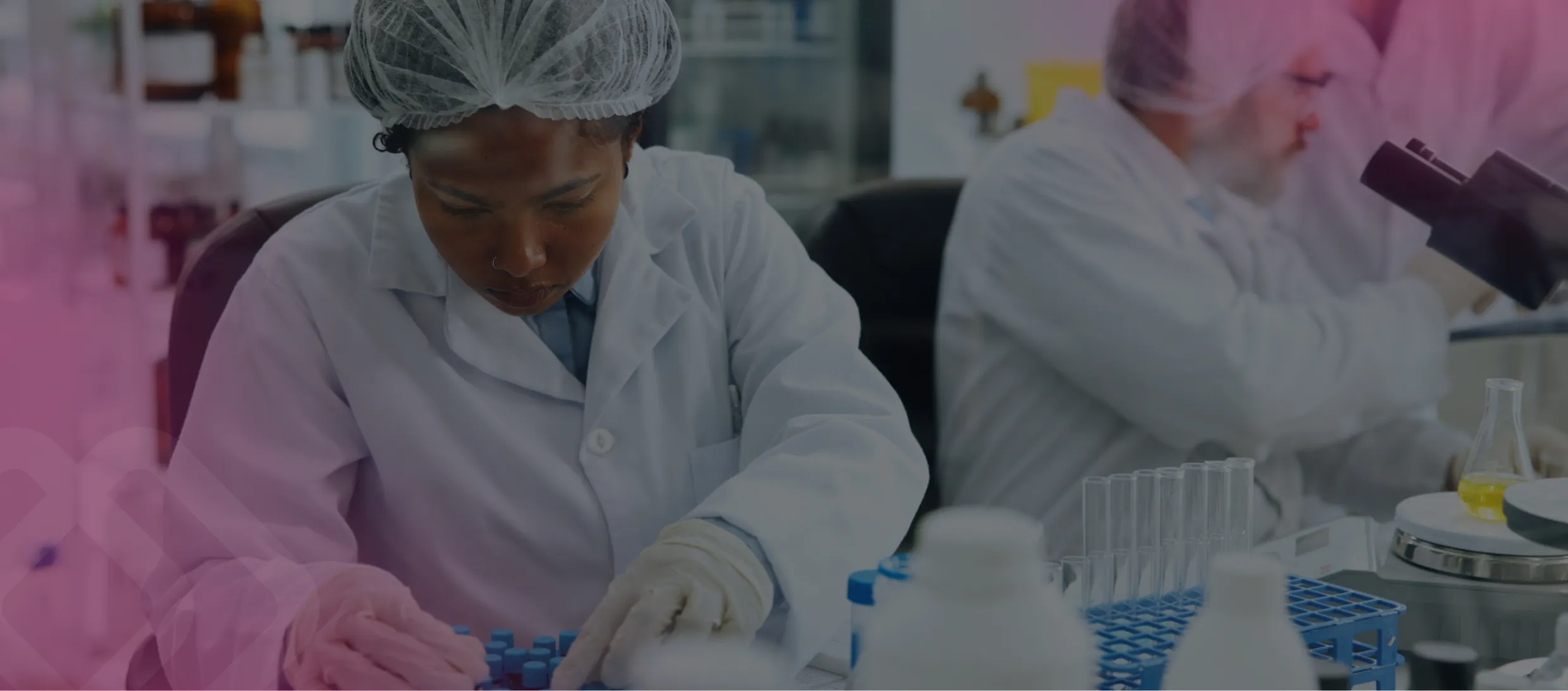 Lab technicians examining samples