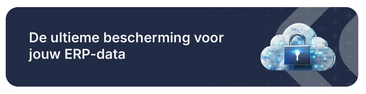 Bescherming voor jouw ERP-data