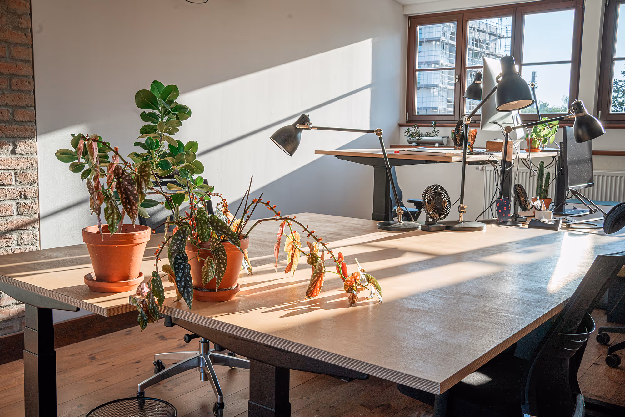 Ein helles Büro mit Holztischen, Topfpflanzen, Lampen und großen Fenstern, durch die man die Gebäude der Stadt sehen kann.