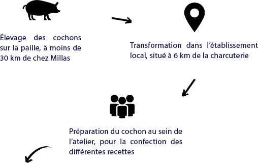 elevage_cochon