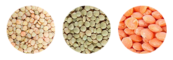 Lentilles - 3 sortes