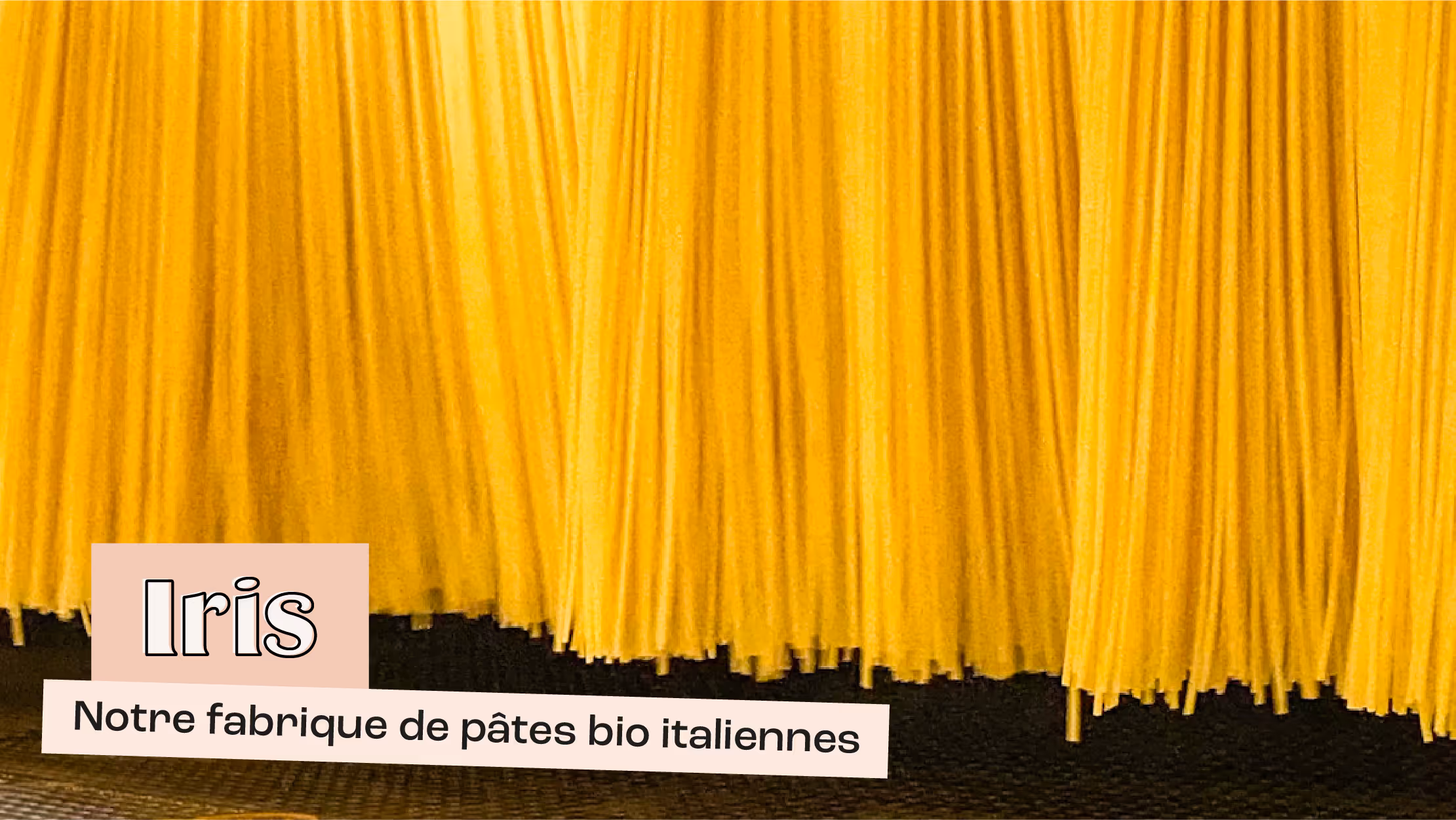 Coopérative Iris, notre fabrique de pâtes bio italiennes