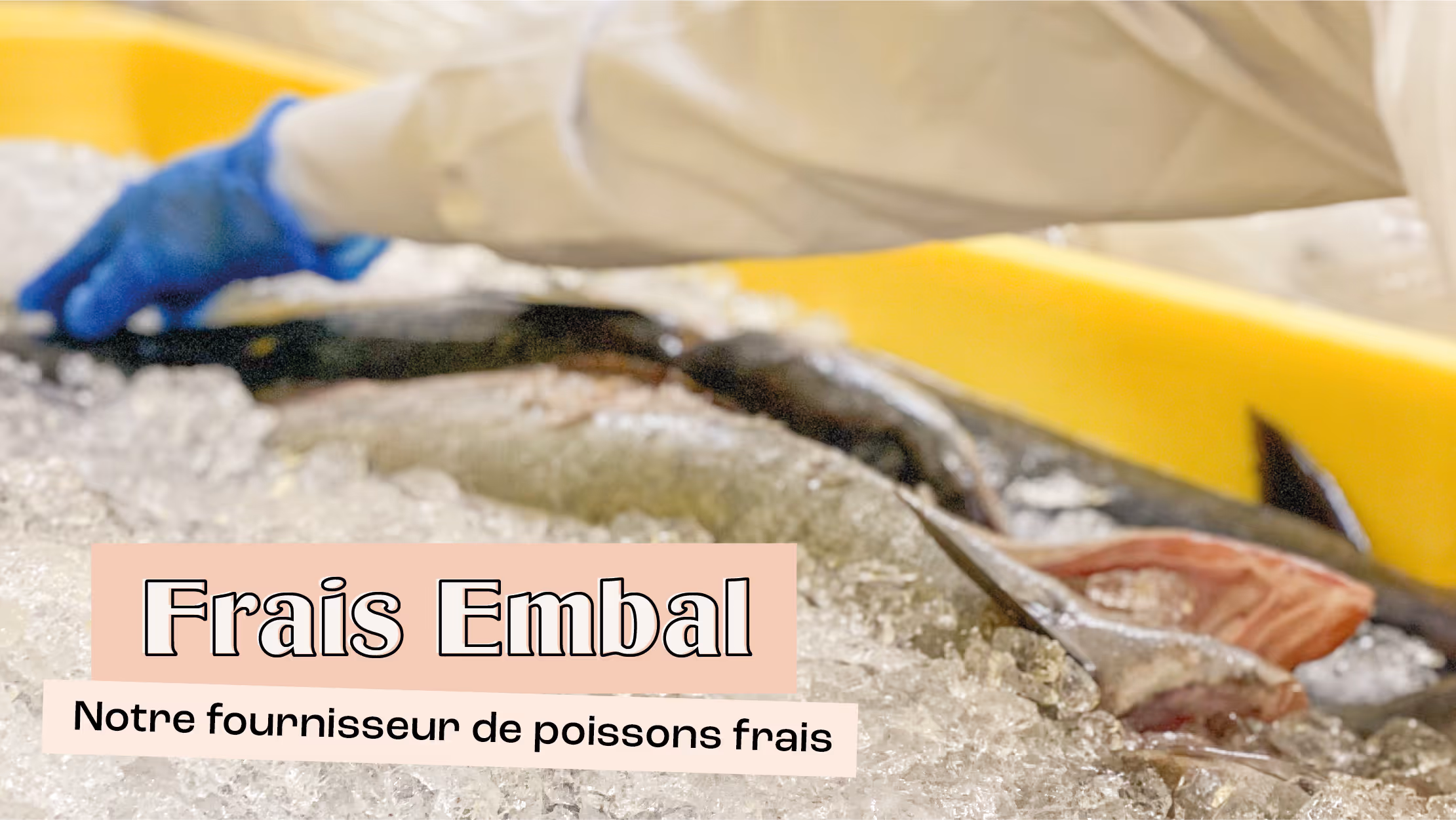 Frais Embal, notre fournisseur de poissons frais