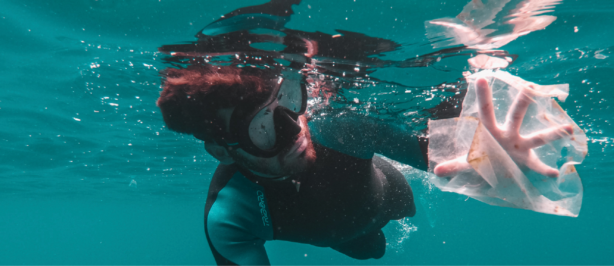 Océan Atlantique : un chercheur enthousiaste annonce avoir découvert une nouvelle espèce de sac plastique.