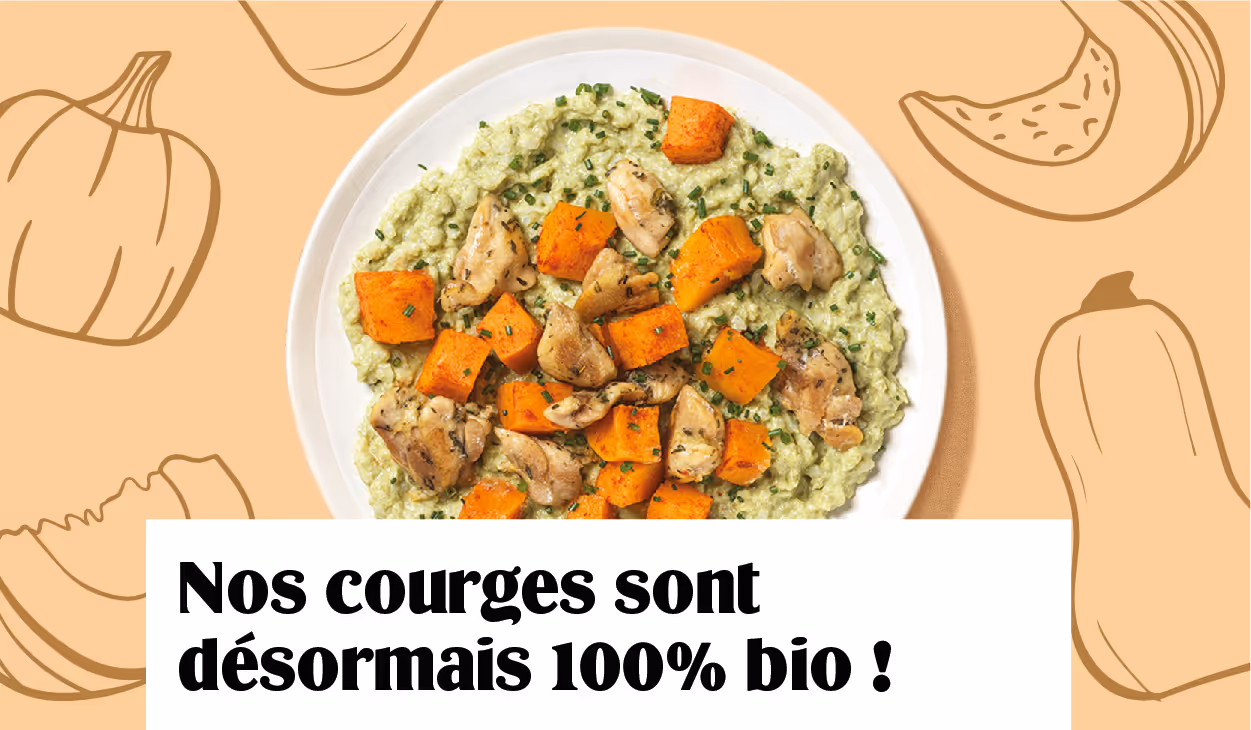On vous présente notre producteur de courges bio.