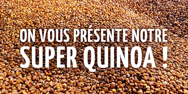 “Mon nom est quinoa : super quinoa”