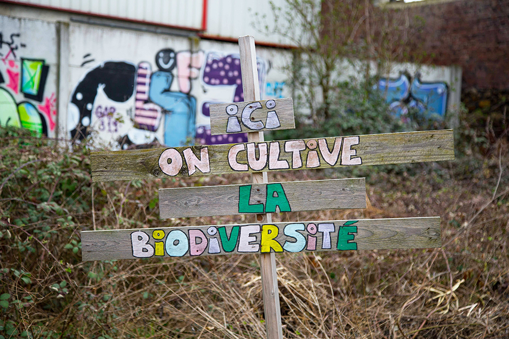 Agriculture urbaine - Biodiversité