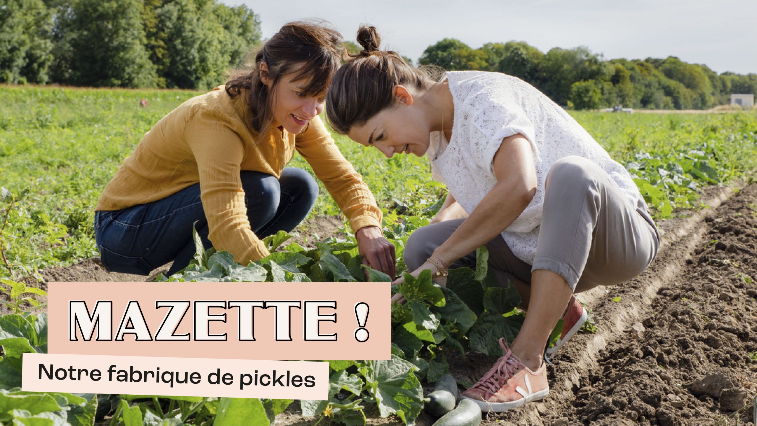 MAZETTE! - photo de couverture